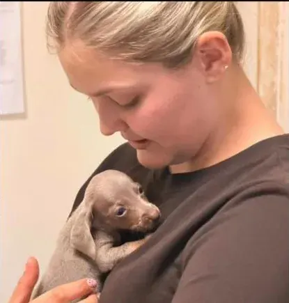 Puppybezoek bij Teckel Paradise